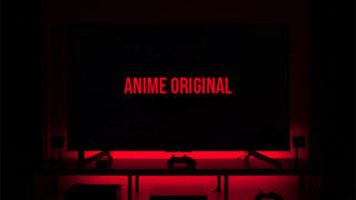 【ワンピース】アニメオリジナルストーリー全116話まとめ