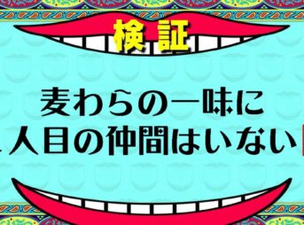 【確定】麦わらの一味に１１人目の仲間はいない説【ワンピース考察】